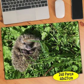 Asilmeydan 456538774 240 Parça Sevimli Uyuyan Kirpi Puzzle Yapboz Tablo