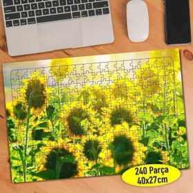 Asilmeydan 456745297 240 Parça Güneşli Ayçiçeği Tarlası Puzzle Yapboz Tablo