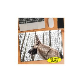 Asilmeydan 456755500 240 Parça Ormanda Alman Köpeği Puzzle Yapboz Tablo