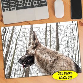 Asilmeydan 456755500 240 Parça Ormanda Alman Köpeği Puzzle Yapboz Tablo