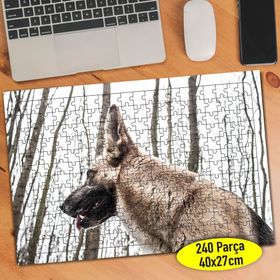 Asilmeydan 456755500 240 Parça Ormanda Alman Köpeği Puzzle Yapboz Tablo