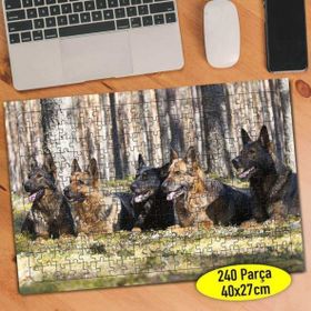 Asilmeydan 456765229 240 Parça Akıllı Alman Köpekleri Puzzle Yapboz Tablo