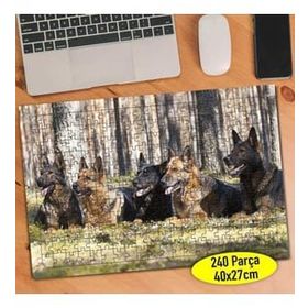 Asilmeydan 456765229 240 Parça Akıllı Alman Köpekleri Puzzle Yapboz Tablo