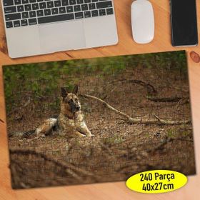Asilmeydan 456783589 240 Parça Uslu Alman Köpeği Puzzle Yapboz Tablo