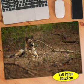 Asilmeydan 456783589 240 Parça Uslu Alman Köpeği Puzzle Yapboz Tablo