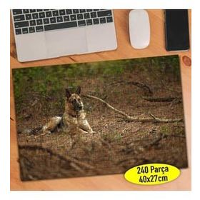 Asilmeydan 456783589 240 Parça Uslu Alman Köpeği Puzzle Yapboz Tablo