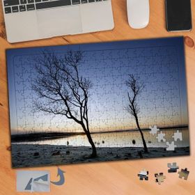 Asilmeydan Ağaçlar Ve Gün Batımı Manzarası 240 Parça Puzzle Yapboz Tablo