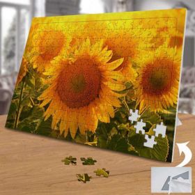 Asilmeydan Ay Çiçeği Tarlası 240 Parça 27x40 cm Puzzle Yapboz Tablo