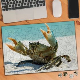 Asilmeydan Beyaz Kumda Yengeç 240 Parça Puzzle Yapboz Tablo