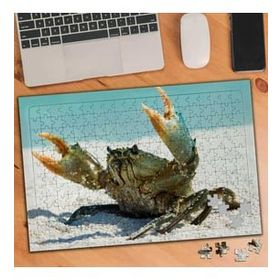 Asilmeydan Beyaz Kumda Yengeç 240 Parça Puzzle Yapboz Tablo