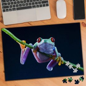 Asilmeydan Dal Üstünde Sevimli Renkli Kurbağa 240 Parça 74 645 Puzzle Yapboz Tablo