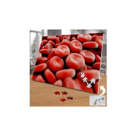 Asilmeydan Kan Hücreleri Makro Çekim 240 Parça 27x40.5 cm Puzzle Yapboz Tablo