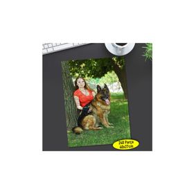 Asilmeydan Parkta Alman Köpeği 240 Parça Puzzle Yapboz Tablo