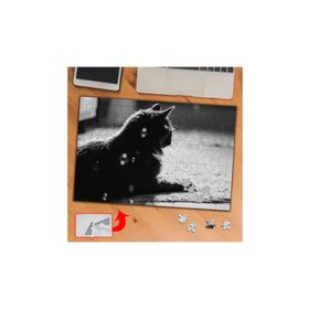 Asilmeydan Siyah Beyaz Izleyen Kedi 240 Parça 27x40 cm Puzzle Yapboz Tablo
