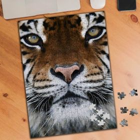 Asilmeydan Yakın Çekim Leopar 240 Parça 27x40 cm Puzzle Yapboz Tablo