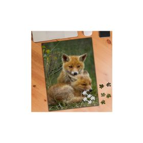 Asilmeydan Yavru Tilki Ailesi 240 Parça Puzzle Yapboz Tablo
