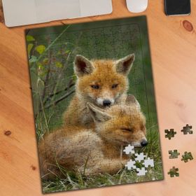 Asilmeydan Yavru Tilki Ailesi 240 Parça Puzzle Yapboz Tablo
