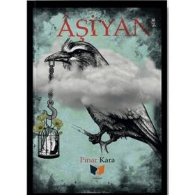 Aşiyan - Pınar Kaya
