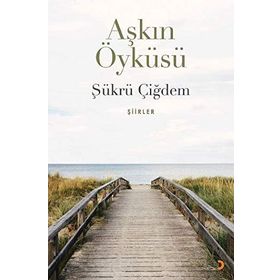 Aşkın Öyküsü - Şükrü Çiğdem