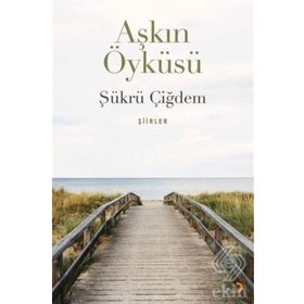 Aşkın Öyküsü - Şükrü Çiğdem