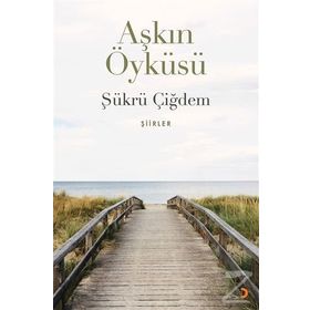 Aşkın Öyküsü - Şükrü Çiğdem