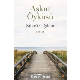 Aşkın Öyküsü - Şükrü Çiğdem