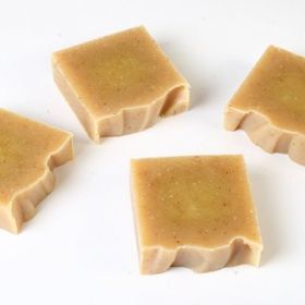 Asklepios 10x100 gr Organik El Yapımı Kayısı Sabunu