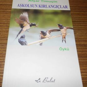 AŞKOLSUN KIRLANGIÇLAR - AŞFAR TİMUÇİN