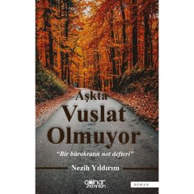 Aşkta Vuslat Olmuyor - Bir Bürokratın Not Defteri - Nezih Yıldırım