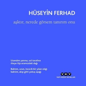Aşktır, Nerede Görsem Tanırım Onu Yapı Kredi Yayınları