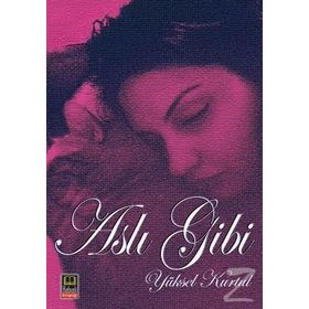 Aslı Gibi - Yüksel Kurtul