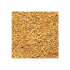 Aslımlar 1 kg Sarı Darı Kuş Yemi
