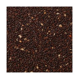 Aslımlar 1 kg Siyah Darı Kuş Yemi