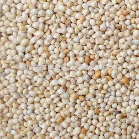 Aslımlar 15 kg Ak Darı Kuş Yemi