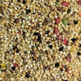 Aslımlar 5 kg Muhabbet Kuşu Yemi