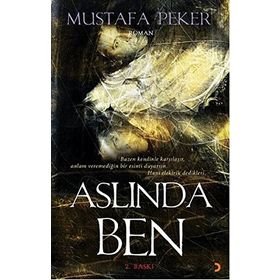 ASLINDA BEN BAZEN KENDINLE KARŞILAŞIR, ANLAM VEREMEDIĞIN BIR ESINTI DUYARSIN. HANI ELEKTRIK DEDIKLERI - MUSTAFA PEKER