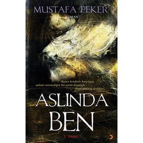 ASLINDA BEN BAZEN KENDINLE KARŞILAŞIR, ANLAM VEREMEDIĞIN BIR ESINTI DUYARSIN. HANI ELEKTRIK DEDIKLERI - MUSTAFA PEKER