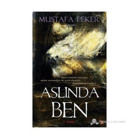 ASLINDA BEN BAZEN KENDINLE KARŞILAŞIR, ANLAM VEREMEDIĞIN BIR ESINTI DUYARSIN. HANI ELEKTRIK DEDIKLERI - MUSTAFA PEKER