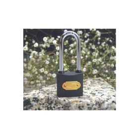 Asma 50 mm Gri Uzun Asma Kilit