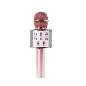 Asonic AS-M09 Karaoke Mikrofon