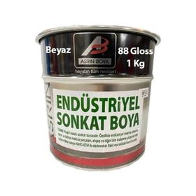 Asrın Rapid Beyaz 1 kg Endüstriyel Boya