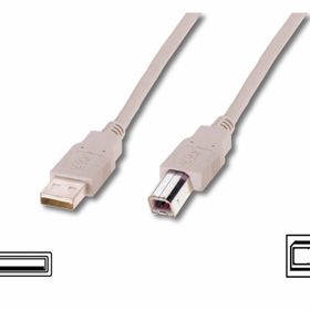 Assmann AK-300102-030-E 3M USB Kablo