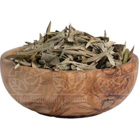 Astera 100 gr Zeytin Yaprağı