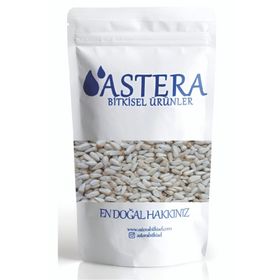 Astera 2 kg Aspir Tohumu