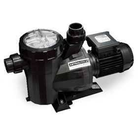 Astral Victoria Plus 1 Hp 220 V Havuz Pompası