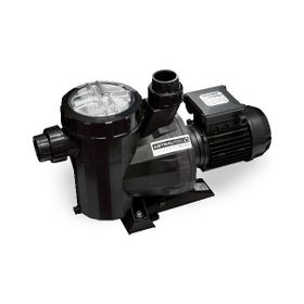 Astral Victoria Plus 1 Hp 220 V Havuz Pompası