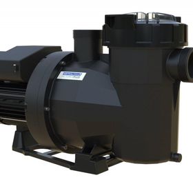 Astral Victoria Plus 1 Hp 220 V Havuz Pompası