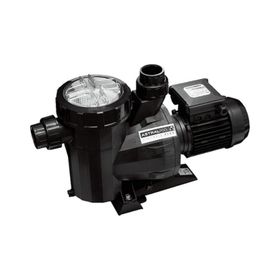 Astral Victoria Plus 1 Hp 380 V Havuz Pompası