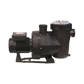 Astral Victoria Plus 1 Hp Monofaze Kendinden Emişli Havuz Pompası