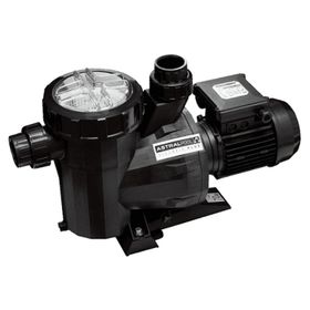 Astral Victoria Plus 3 Hp 220 V Havuz Pompası